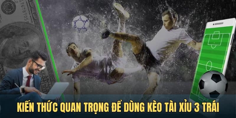 kien thuc quan trong de dung keo tai xiu 3 trai tai rwin Kiến thức quan trọng để dùng kèo tài xỉu 3 trái tại RWIN